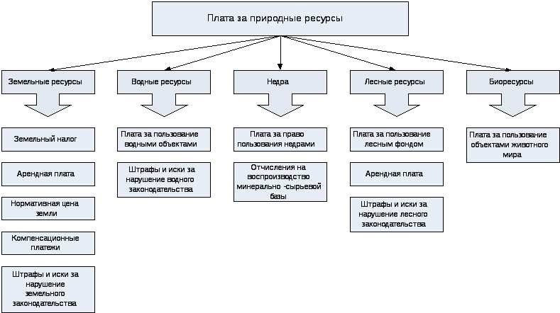 Формы платы за землю виды оплаты условия и процедуры